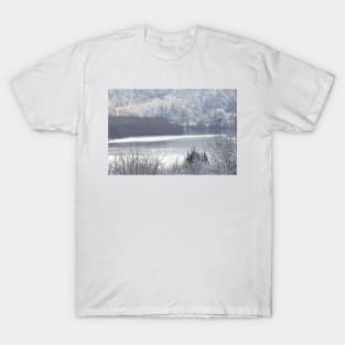 Columbia river and snow 2 T-Shirt